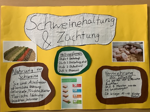 2024_07_01_Bauernhofprojekt7.JPG